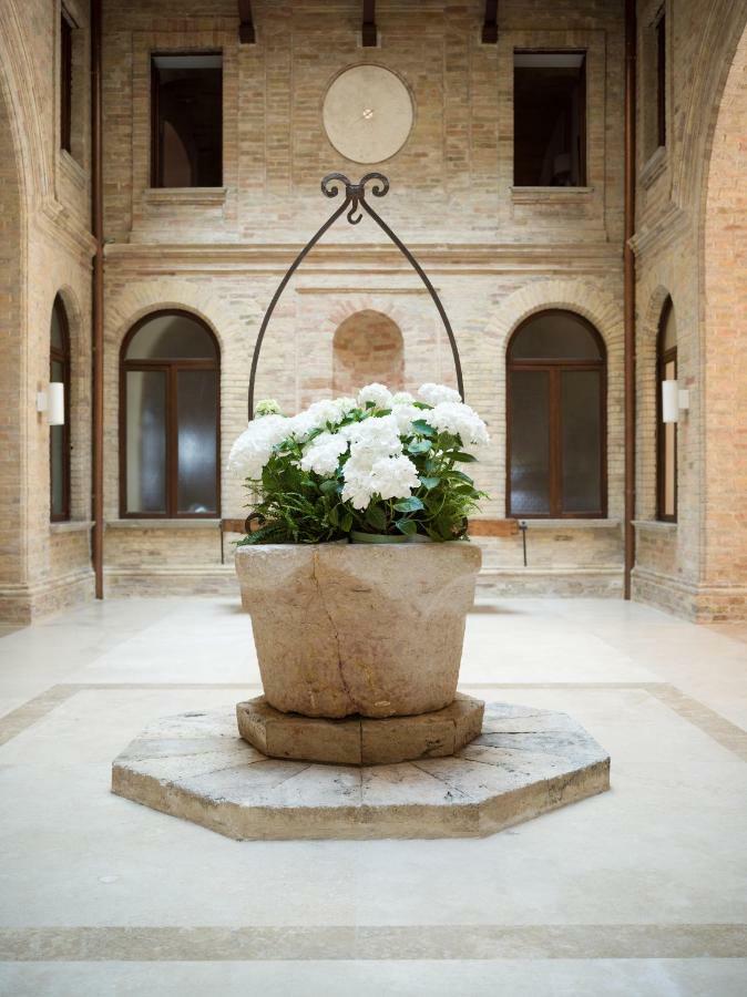 Corallo Sant'Omero